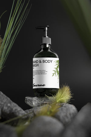 Sacrae Hand & Body Wash Peppermint & Dark Cedar — lifestyle shot